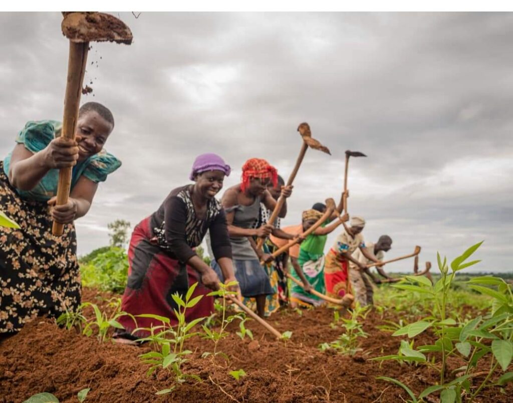 women digging