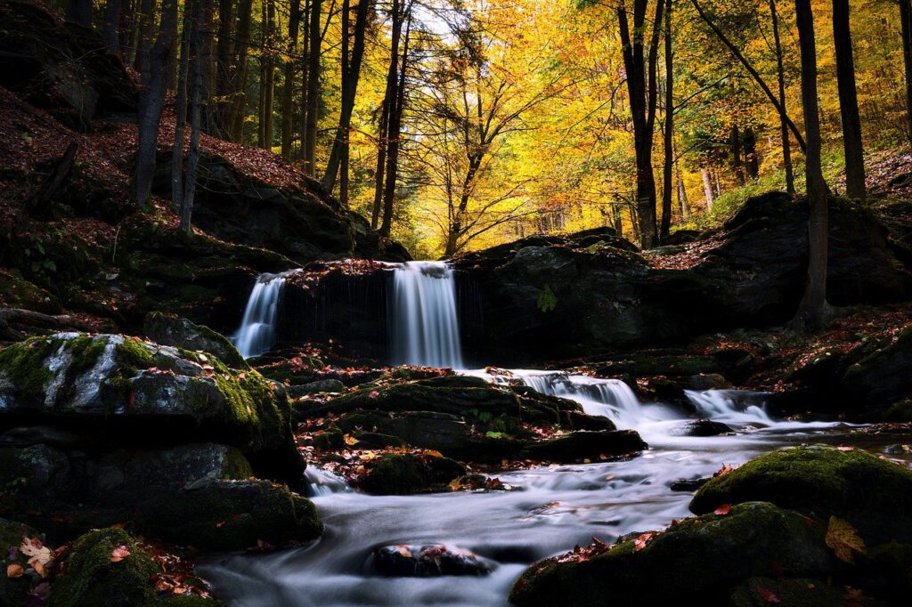 Can Water Be Found in Rocky Areas?