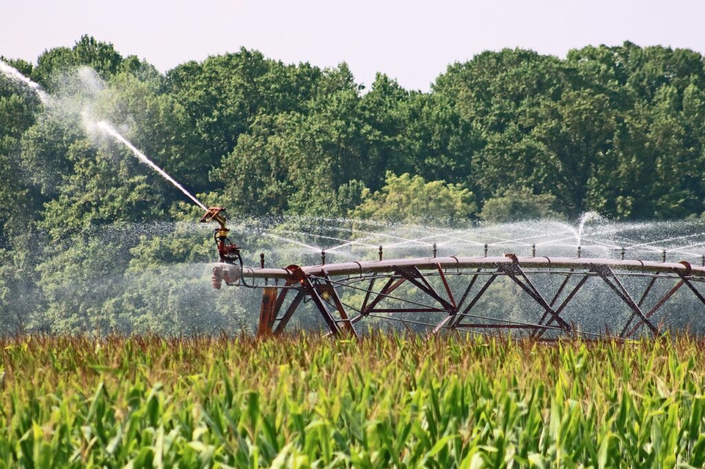 irrigation in process