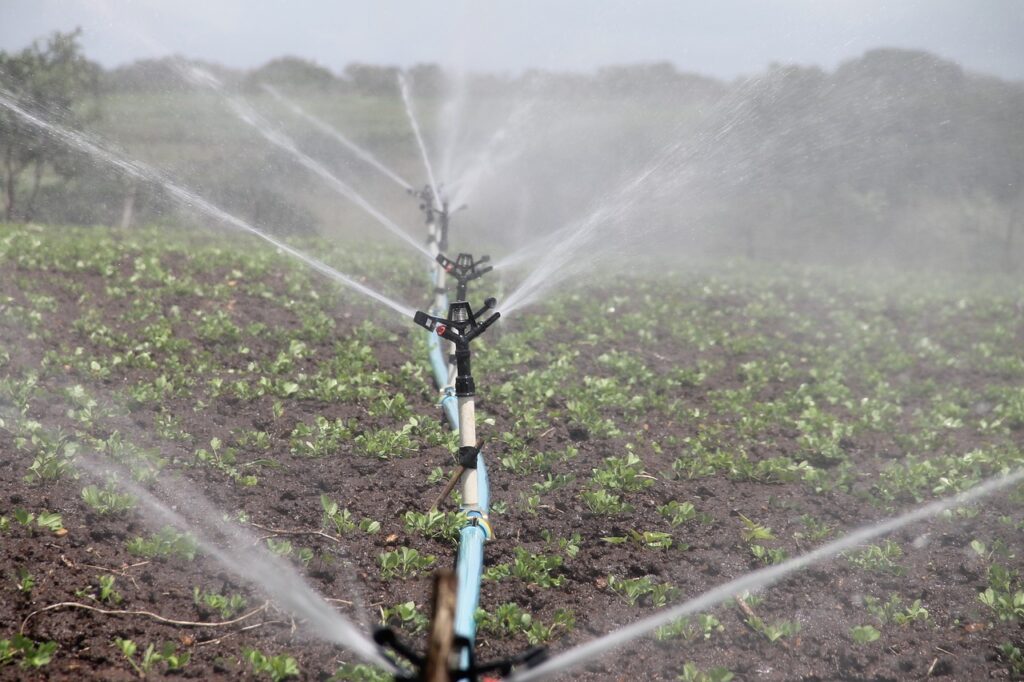 is borehole water good for irrigation?