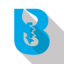 bonvic drilling logo
