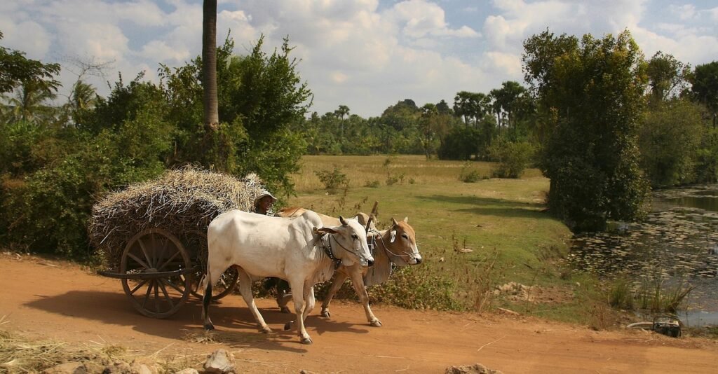 Why Borehole Drilling is Costly in Kenya