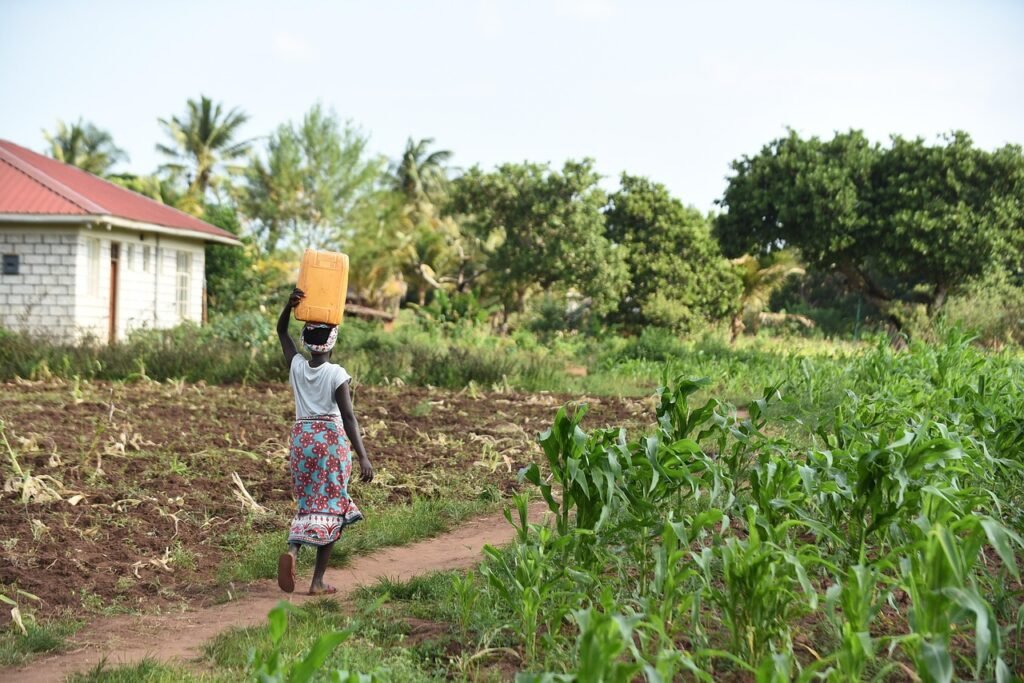 woman fetching water