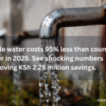 borehole vs county water