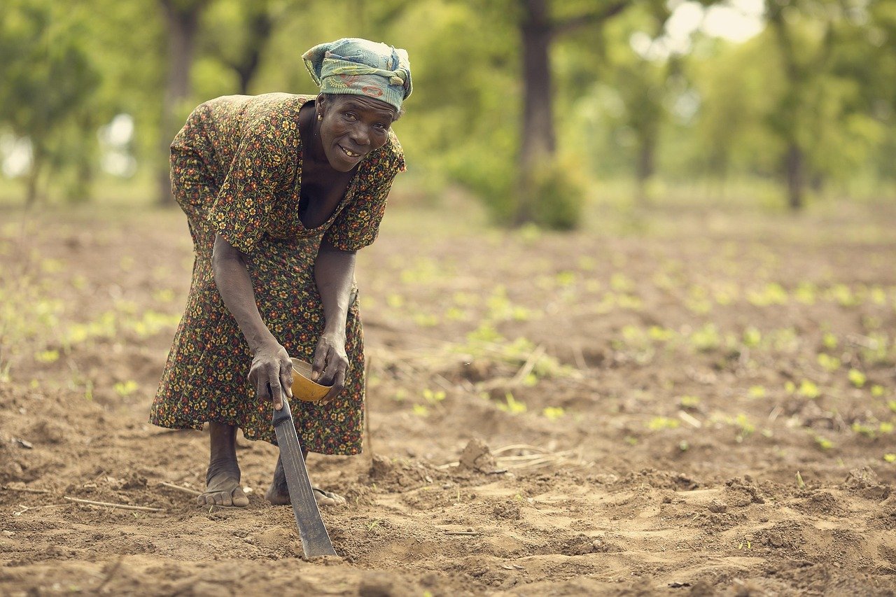 Farmer planting crops with irrigation system nearby