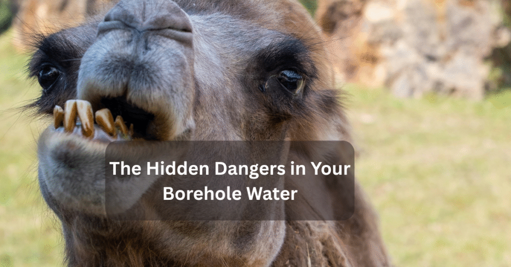 The Hidden Dangers in Your Borehole Water